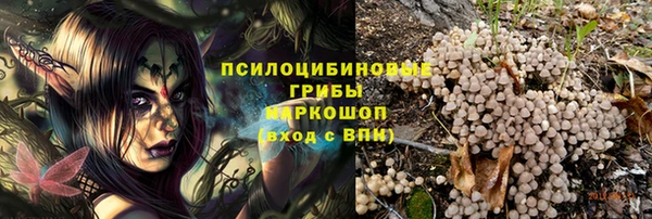 соль ск Медвежьегорск