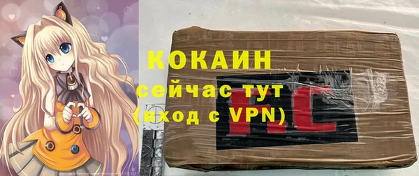 дживик Мегион