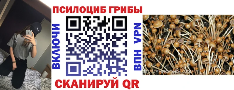Псилоцибиновые грибы прущие грибы  как найти наркотики  Красный Кут 